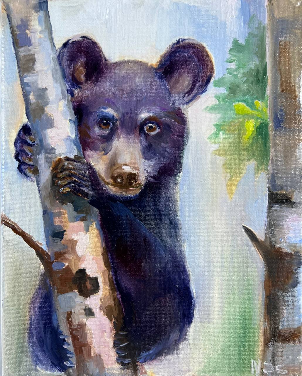A Bear Cub in a Tree